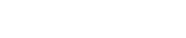 The Animation Workshop